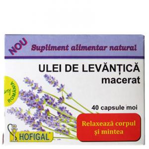 Ulei levantica