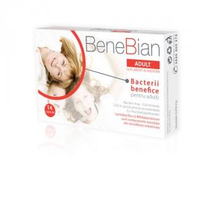 Benebian Adult 14cps
