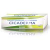 Boiron Cicaderma unguent 30g