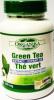 Extract concentrat de ceai verde forte (50%egcg): 60 capsule/300