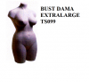 Bust dama ts099