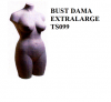 Bust dama TS099