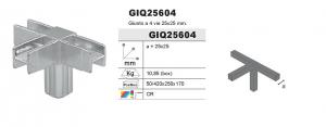 Conector GIQ25604