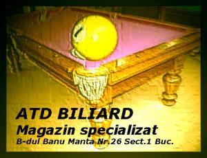Stai confortabil si joaca BILIARD !