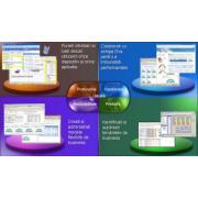 Software extragere date Panorama Bussiness Intelligence