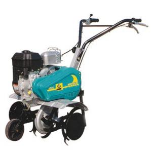 Motosapa AGT 202 Briggs&amp;Stratton