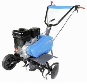 Motosapa Bertolini  222 Briggs&amp;Stratton