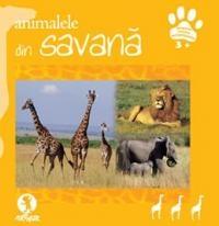 Animale savana