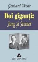 Doi giganti: Jung si Steiner. Confruntare si sinopsis