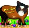 Paddy poneiul