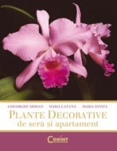 Plante decor