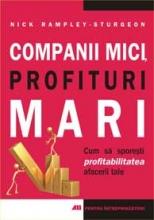 Companii mici. Profituri mari