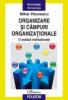 Organizare si cimpuri organizationale. o analiza