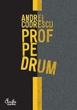 Prof pe drum