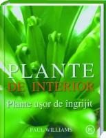 Plante interior