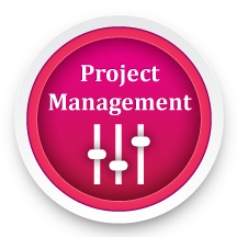 Simulare Project Management