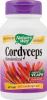 Cordyceps se 500mg - 60 capsule vegetale