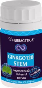 Ginkgo 120 STEM 30 cps