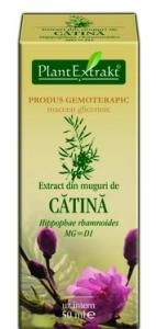 Extract din muguri de catina (HIPPOPHAE RHAMNOIDES)