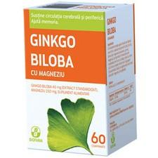 Ginkgo Biloba 40 mg + Magneziu 150 mg - 60 cpr