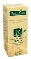 Extract din muguri de frasin (FRAXINUS EX)