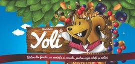 YOLI - Baton din fructe, cu seminte si cereale - pentru copii activi si isteti