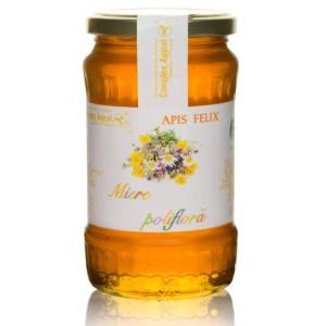 Miere poliflora Apis Felix - 450 g