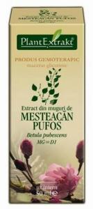 Extract din muguri de mesteacan pufos 50 ml (BETULA PUB)