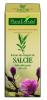 Extract din muguri de salcie (salix