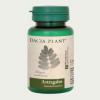 Astragalus - 60 cpr