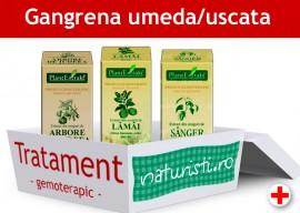 Tratament - Gangrena umeda/uscata (pachet)