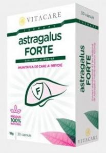 Astragalus Forte - 30 cps