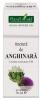 Tinctura de anghinara ( cynara scolymus tm ) 50 ml
