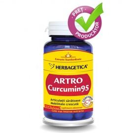 Artro Curcumin 95 - 30 cps