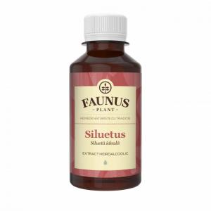 Tinctura Siluetus - 200 ml