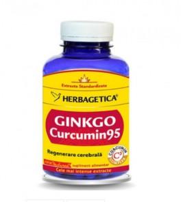 Ginkgo Curcumin 95 - 120 cps