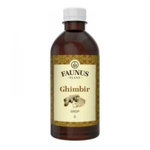 Sirop Ghimbir - 200 ml