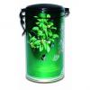 Ceai verde superior cutie metalica - 100 g