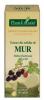 Extract din mladite de mur (RUBUS FRUCT.)