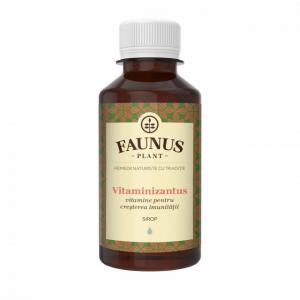 Sirop Vitaminizantus - 200 ml