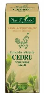 Extract  mladite cedru 50 ml (CEDRUS LIBANI)