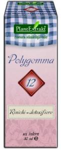 Polygemma nr. 12 - Rinichi Detoxifiere