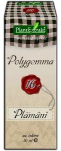 Polygemma nr. 16 - Plamani