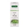 Tinctura de Tuia 30 ml (THUJA OCCIDENTALIS)