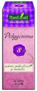 Polygemma nr. 8 - Astenie Psiho-Fizica si Memorie