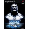 Wwe smackdown! here comes the pain ps2