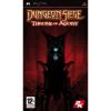 Dungeon Siege Throne Of Agony PSP