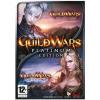 Guild wars platinum edition