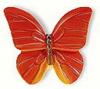 Buton fluture portocaliu H039