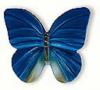 Buton fluture albastru